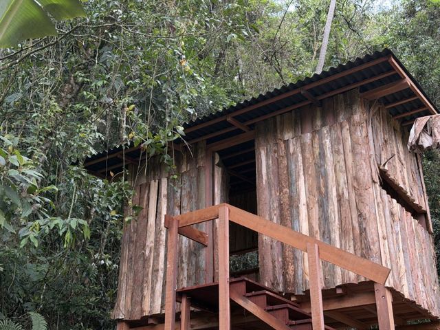 Wooden hide in the forest