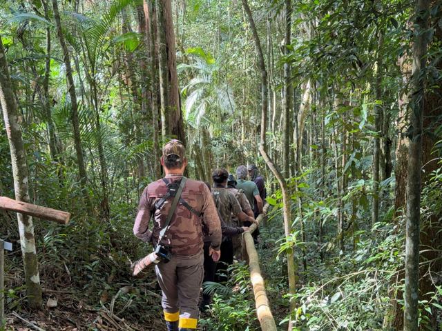 Group walking in single file along a forest trail