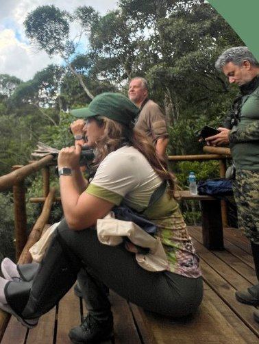 Birders photographing from a canopy-level platform