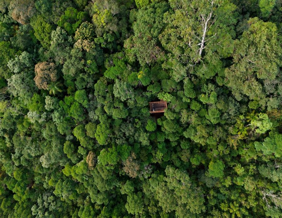 Aerial view of the Atlantic Rain Forest canopy with an observation platform among the trees