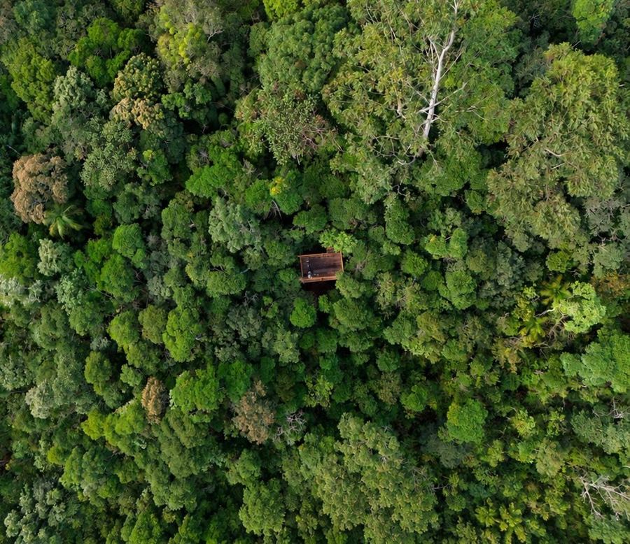 Aerial view of the canopy with an observation platform among the trees