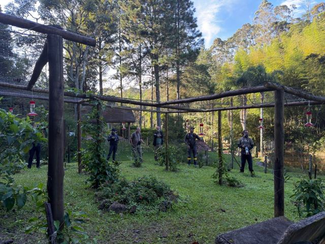 Group of birders in the hummingbird garden