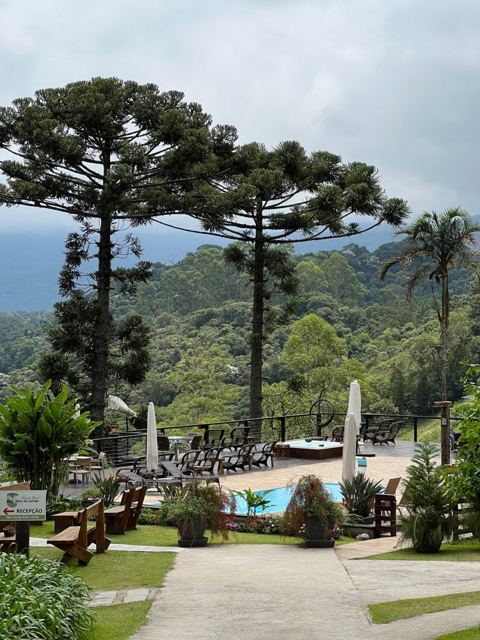 Pool and hot tub area among araucarias and forest