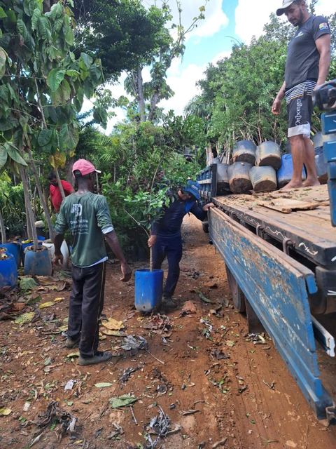 Team unloading seedlings from the truck