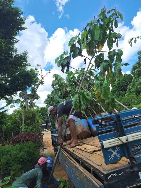 Truck with seedlings arriving at the lodge